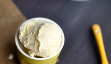 Creamy Vanilla Ice Cream